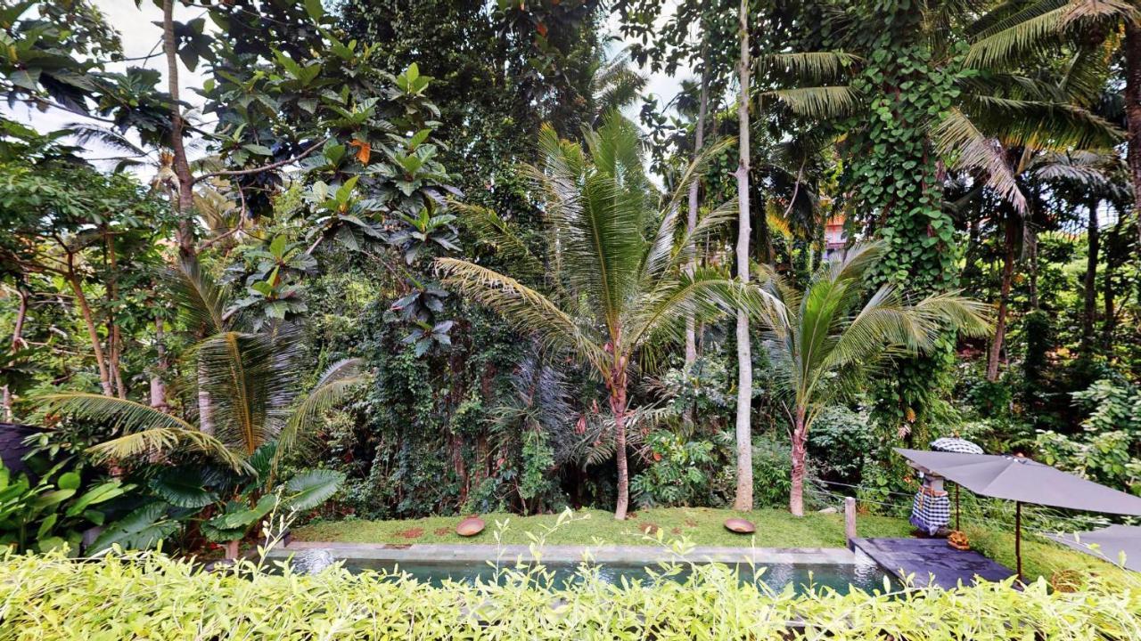 Hotel Six Cubes Ubud Exterior foto